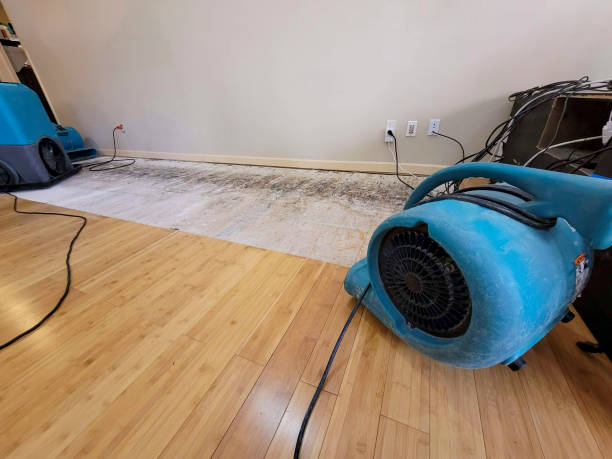 Professional Flood Damage Cleanup technician working in Barnesville, PA
